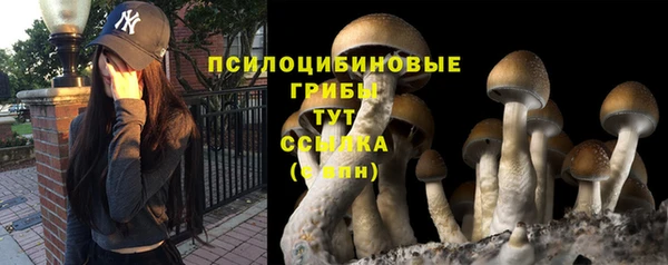 стафф Балабаново