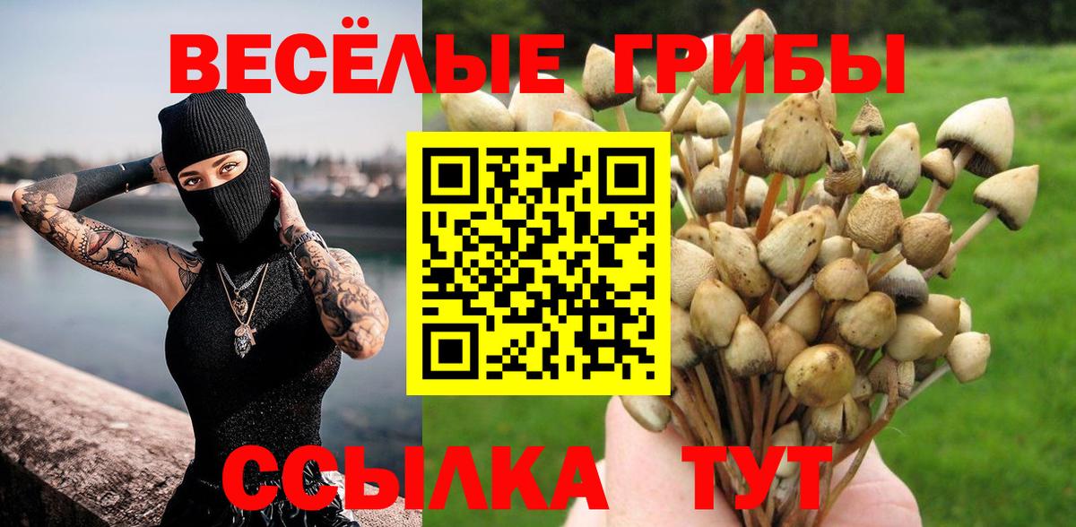 Галлюциногенные грибы Cubensis Бор